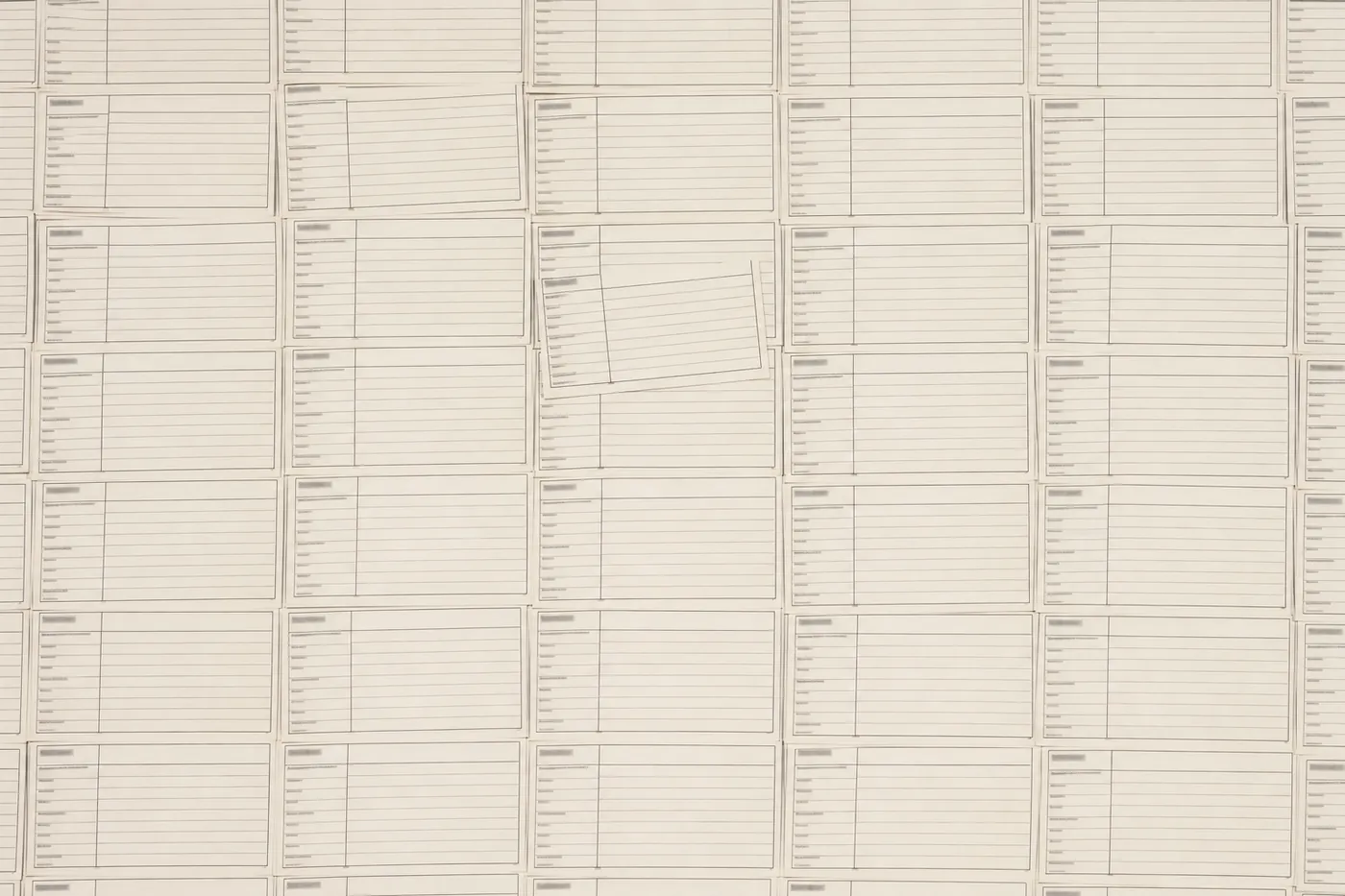 A grid of printed index cards laid edge to edge, every field left unfilled.